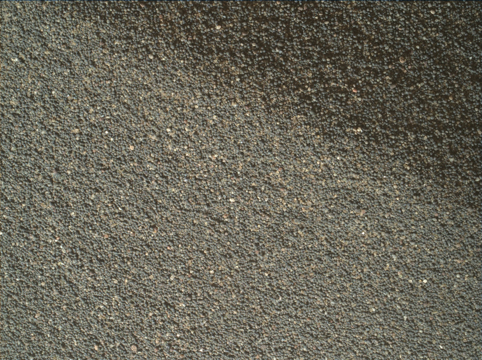 Nasa's Mars rover Curiosity acquired this image using its Mars Hand Lens Imager (MAHLI) on Sol 3079