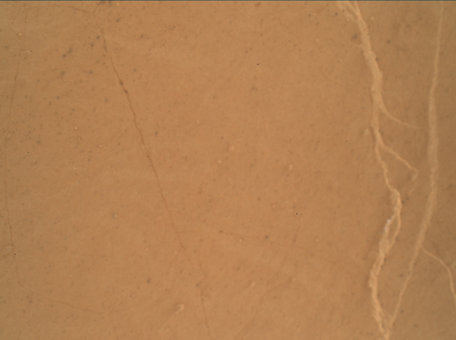 Nasa's Mars rover Curiosity acquired this image using its Mars Hand Lens Imager (MAHLI) on Sol 3081