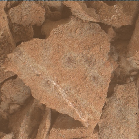 Nasa's Mars rover Curiosity acquired this image using its Mars Hand Lens Imager (MAHLI) on Sol 3110