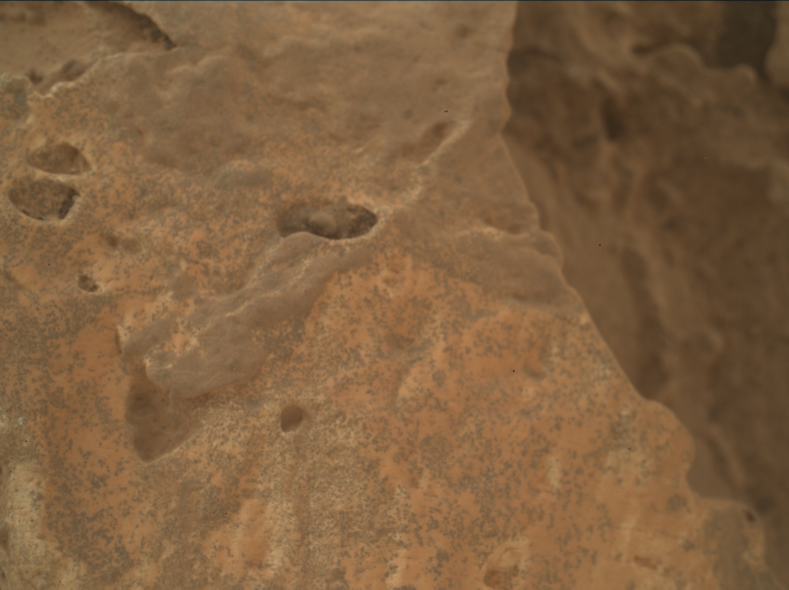 Nasa's Mars rover Curiosity acquired this image using its Mars Hand Lens Imager (MAHLI) on Sol 3112