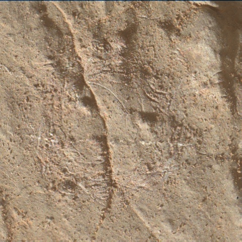 Nasa's Mars rover Curiosity acquired this image using its Mars Hand Lens Imager (MAHLI) on Sol 3119