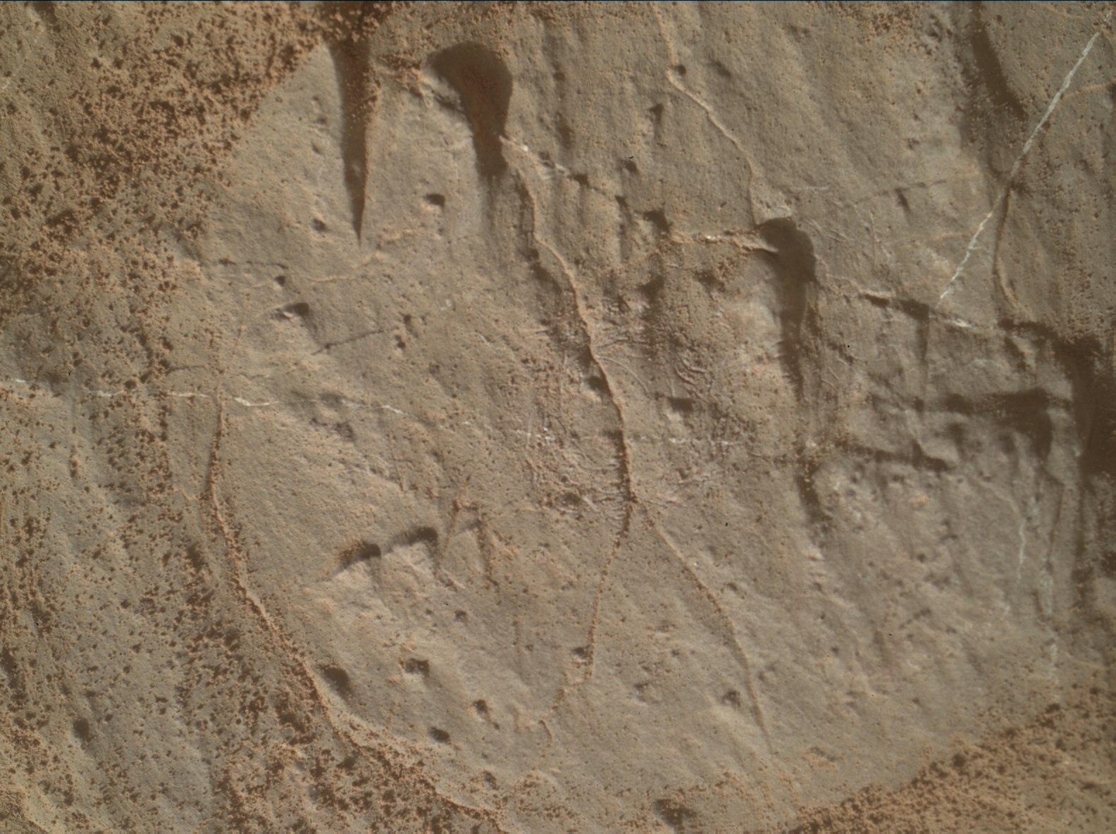 Nasa's Mars rover Curiosity acquired this image using its Mars Hand Lens Imager (MAHLI) on Sol 3119