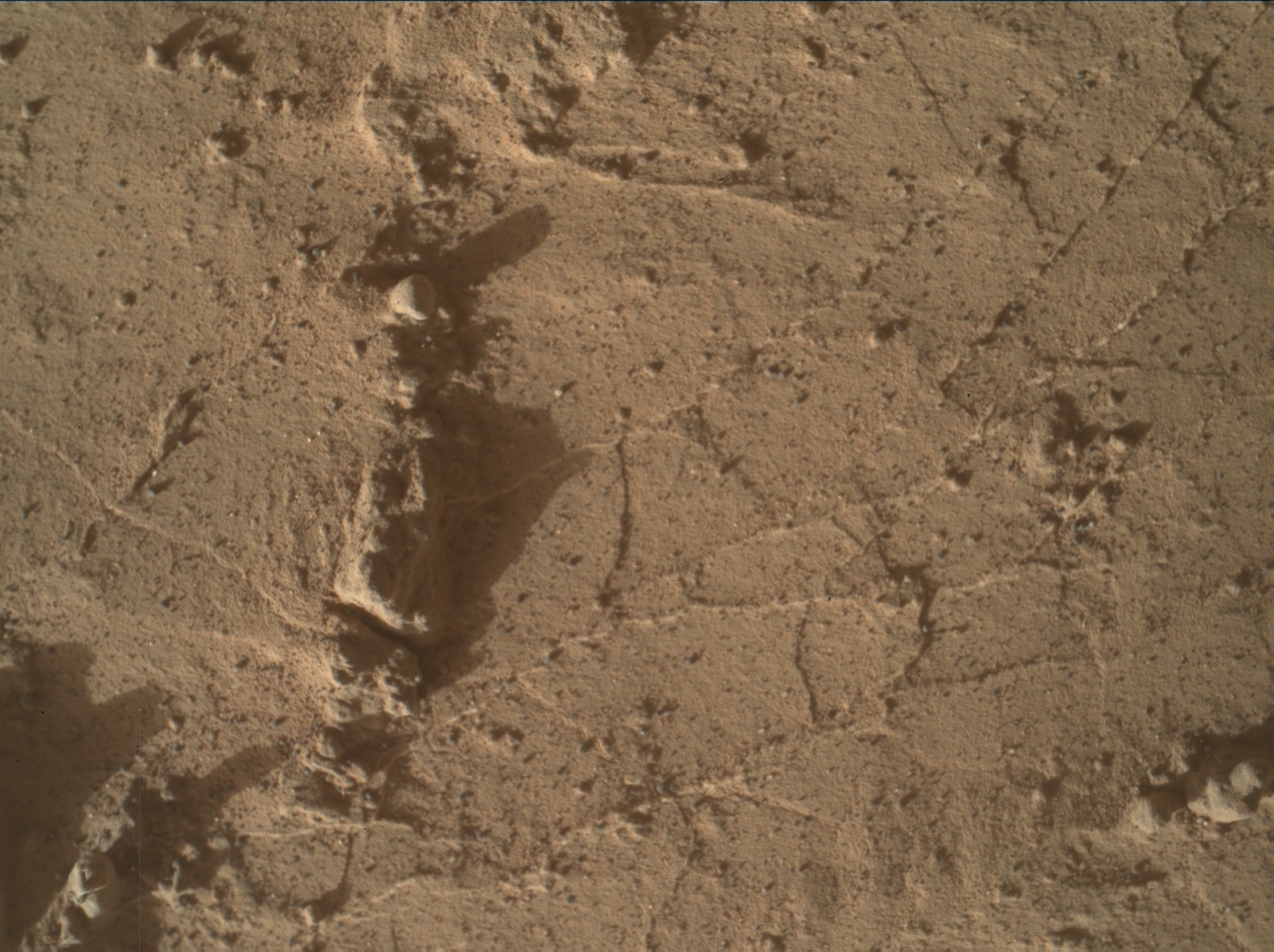 Nasa's Mars rover Curiosity acquired this image using its Mars Hand Lens Imager (MAHLI) on Sol 3139