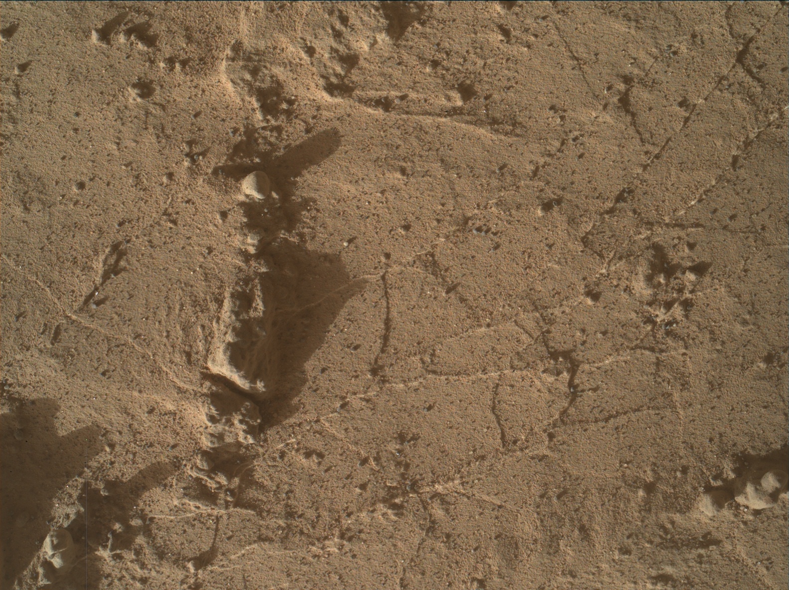 Nasa's Mars rover Curiosity acquired this image using its Mars Hand Lens Imager (MAHLI) on Sol 3140