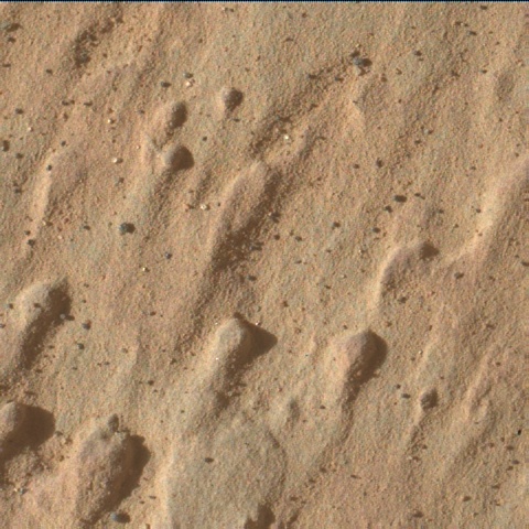 Nasa's Mars rover Curiosity acquired this image using its Mars Hand Lens Imager (MAHLI) on Sol 3146