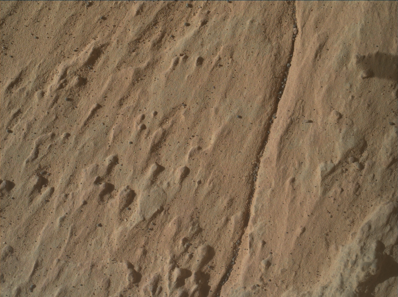 Nasa's Mars rover Curiosity acquired this image using its Mars Hand Lens Imager (MAHLI) on Sol 3147