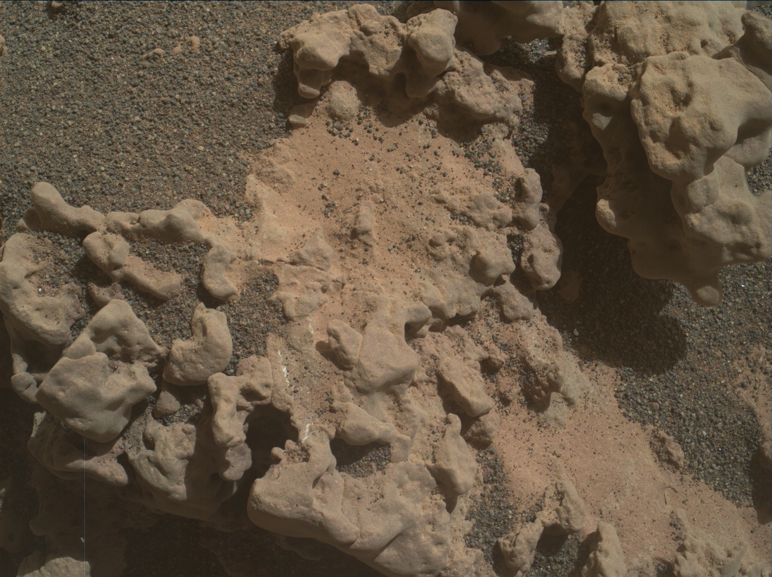 Nasa's Mars rover Curiosity acquired this image using its Mars Hand Lens Imager (MAHLI) on Sol 3161