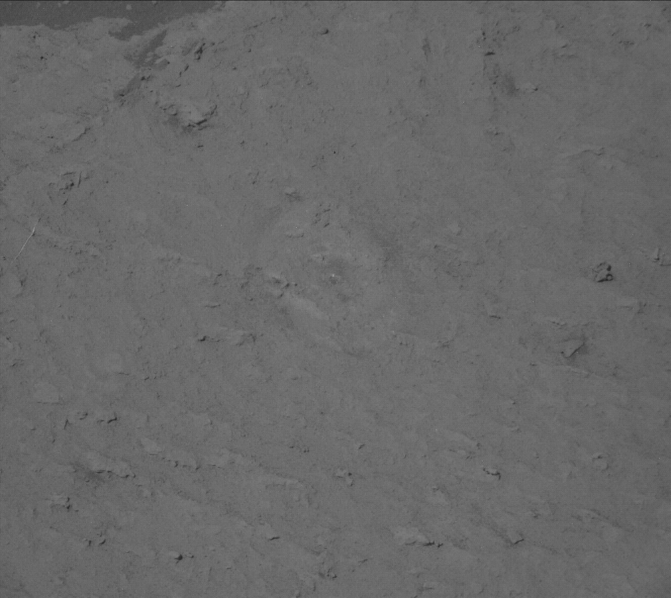 Nasa's Mars rover Curiosity acquired this image using its Mast Camera (Mastcam) on Sol 3169