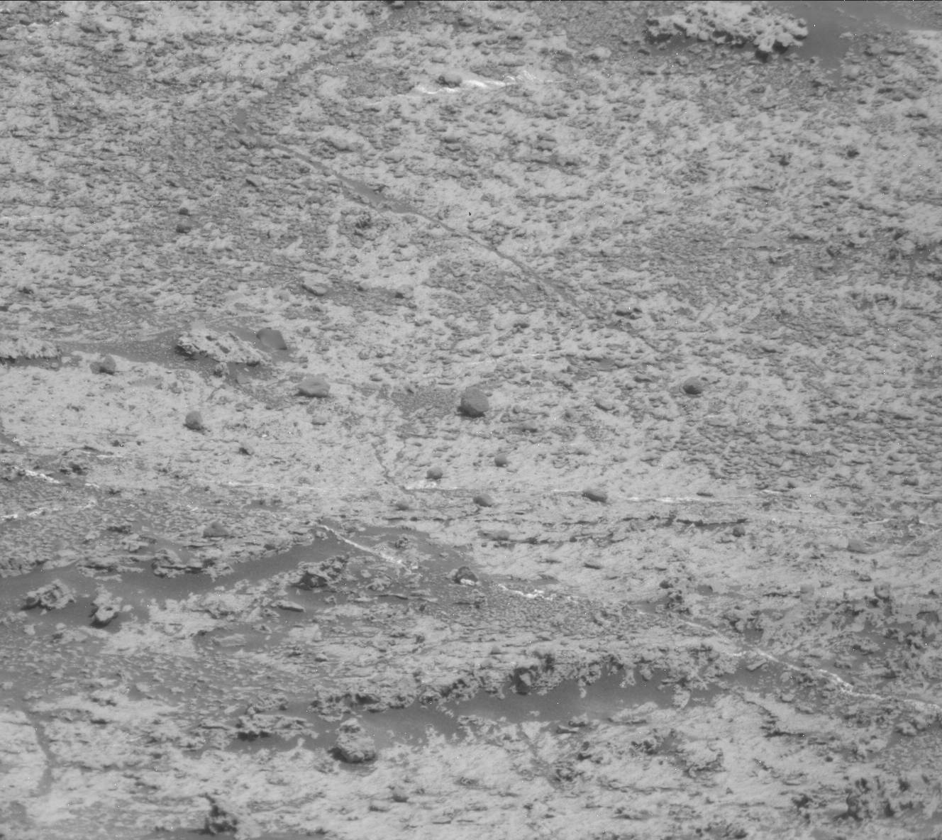 Nasa's Mars rover Curiosity acquired this image using its Mast Camera (Mastcam) on Sol 3180