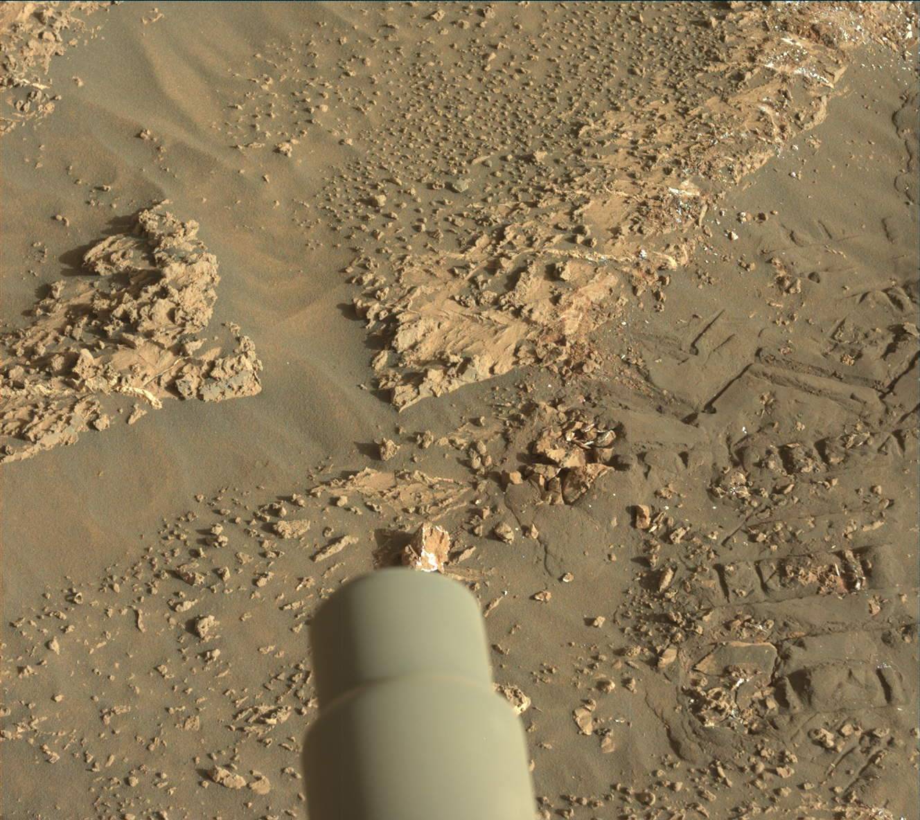 Nasa's Mars rover Curiosity acquired this image using its Mast Camera (Mastcam) on Sol 3183