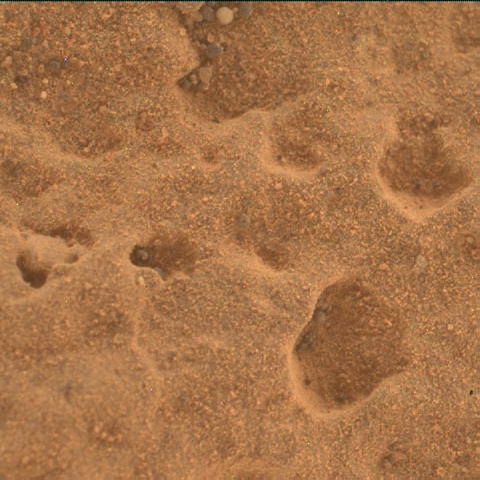 Nasa's Mars rover Curiosity acquired this image using its Mars Hand Lens Imager (MAHLI) on Sol 3183