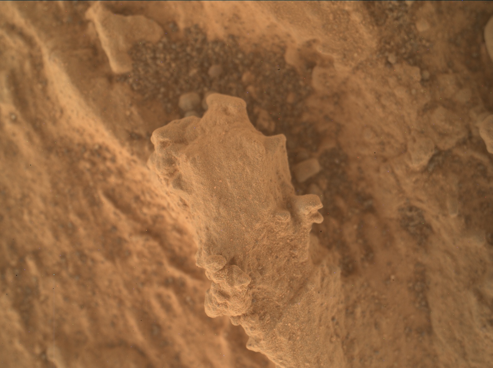 Nasa's Mars rover Curiosity acquired this image using its Mars Hand Lens Imager (MAHLI) on Sol 3197