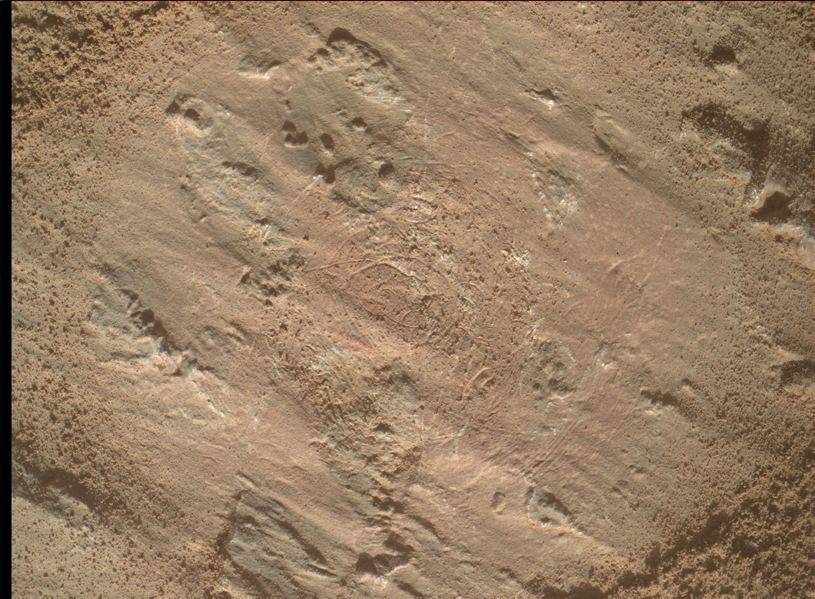 Nasa's Mars rover Curiosity acquired this image using its Mars Hand Lens Imager (MAHLI) on Sol 3201