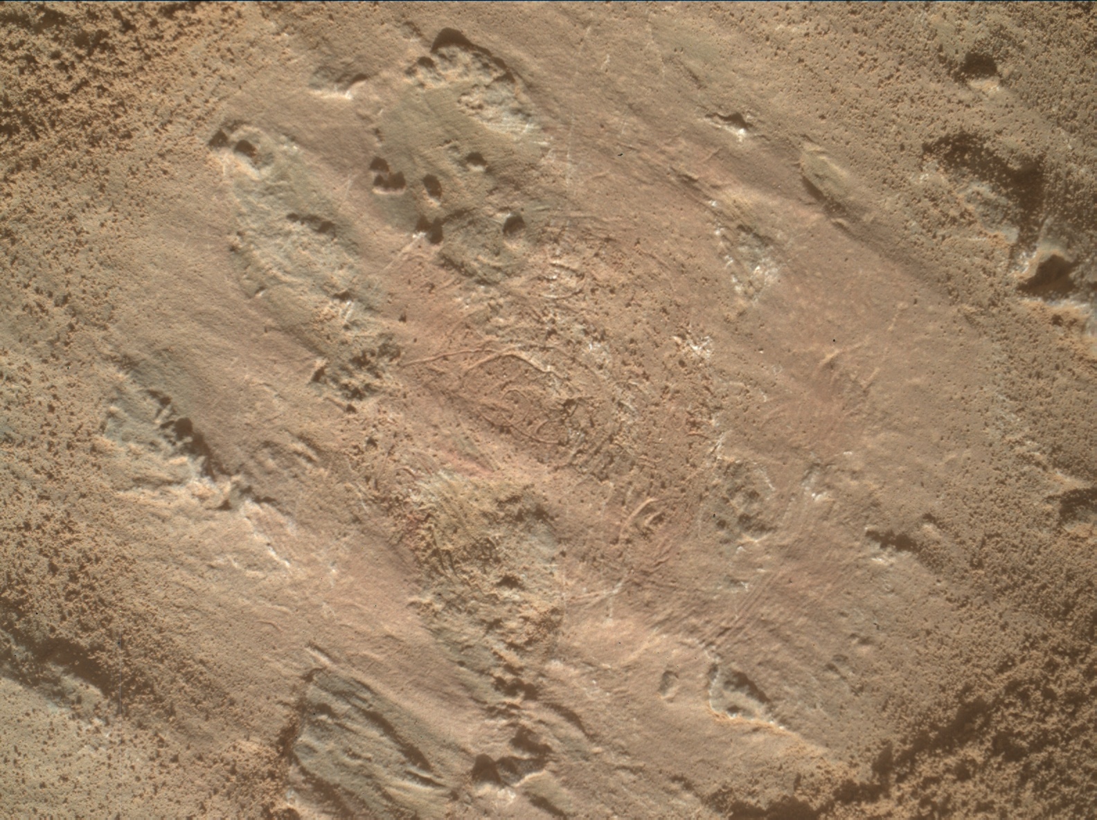 Nasa's Mars rover Curiosity acquired this image using its Mars Hand Lens Imager (MAHLI) on Sol 3201