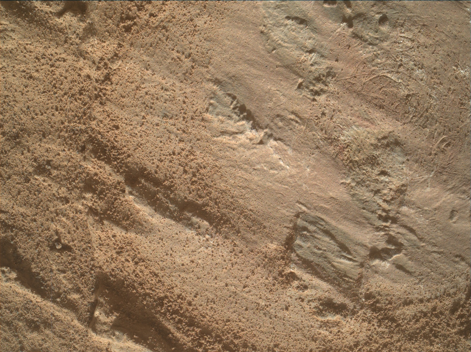 Nasa's Mars rover Curiosity acquired this image using its Mars Hand Lens Imager (MAHLI) on Sol 3202