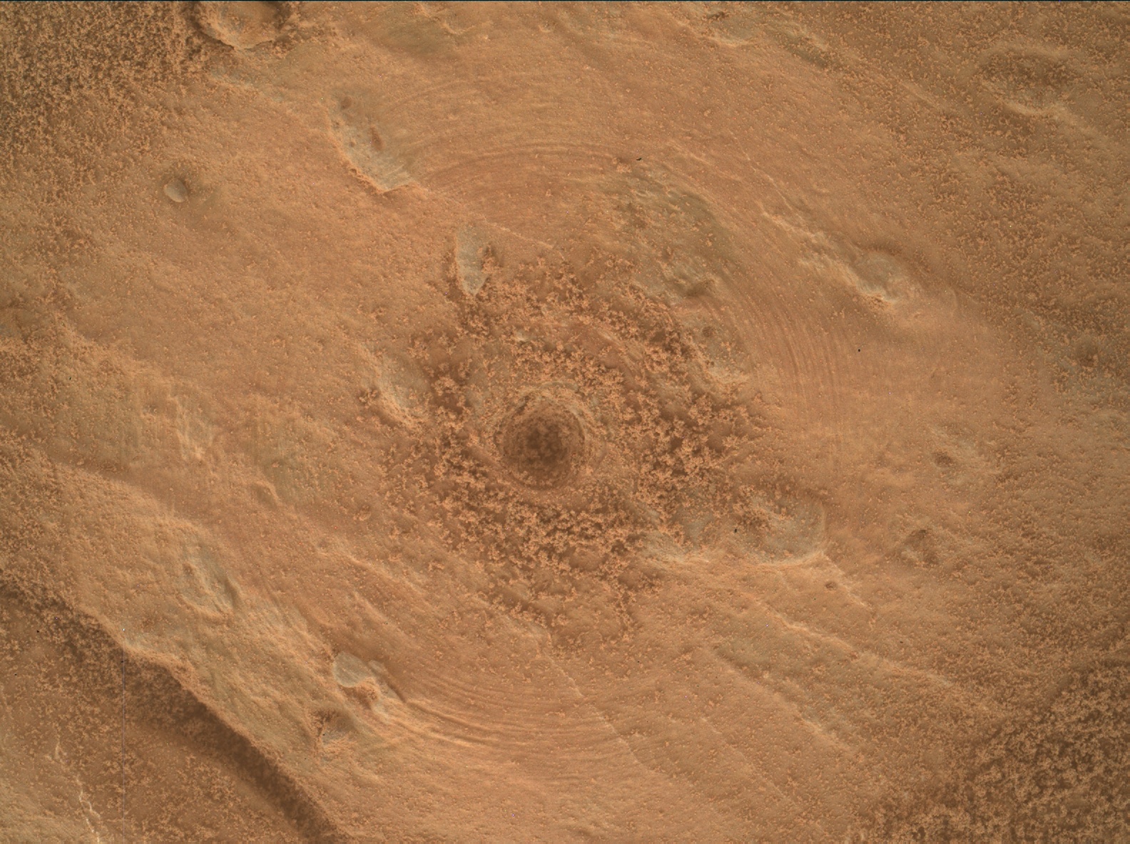 Nasa's Mars rover Curiosity acquired this image using its Mars Hand Lens Imager (MAHLI) on Sol 3203