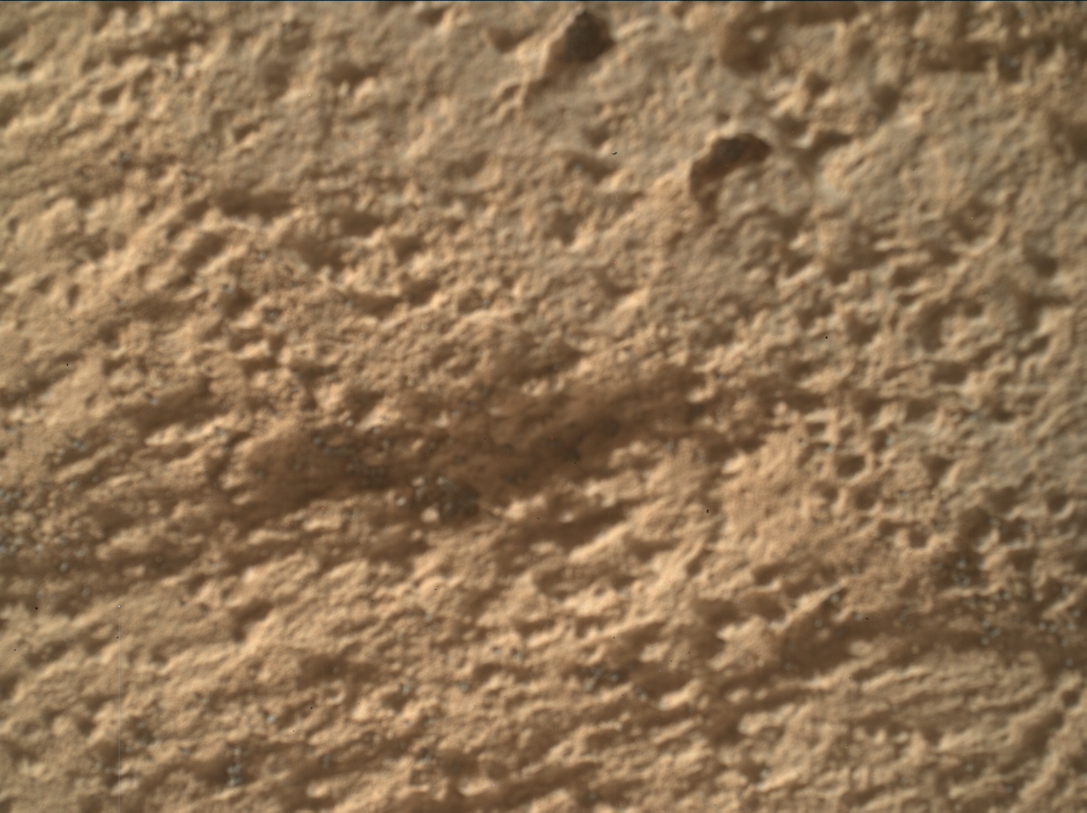 Nasa's Mars rover Curiosity acquired this image using its Mars Hand Lens Imager (MAHLI) on Sol 3205