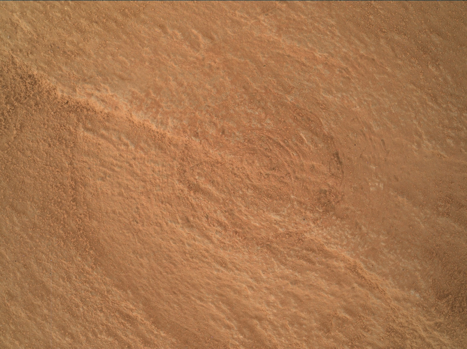 Nasa's Mars rover Curiosity acquired this image using its Mars Hand Lens Imager (MAHLI) on Sol 3210