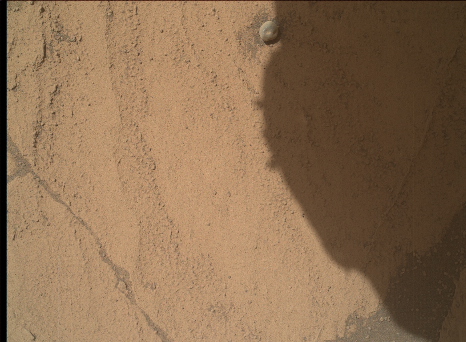 Nasa's Mars rover Curiosity acquired this image using its Mars Hand Lens Imager (MAHLI) on Sol 3212