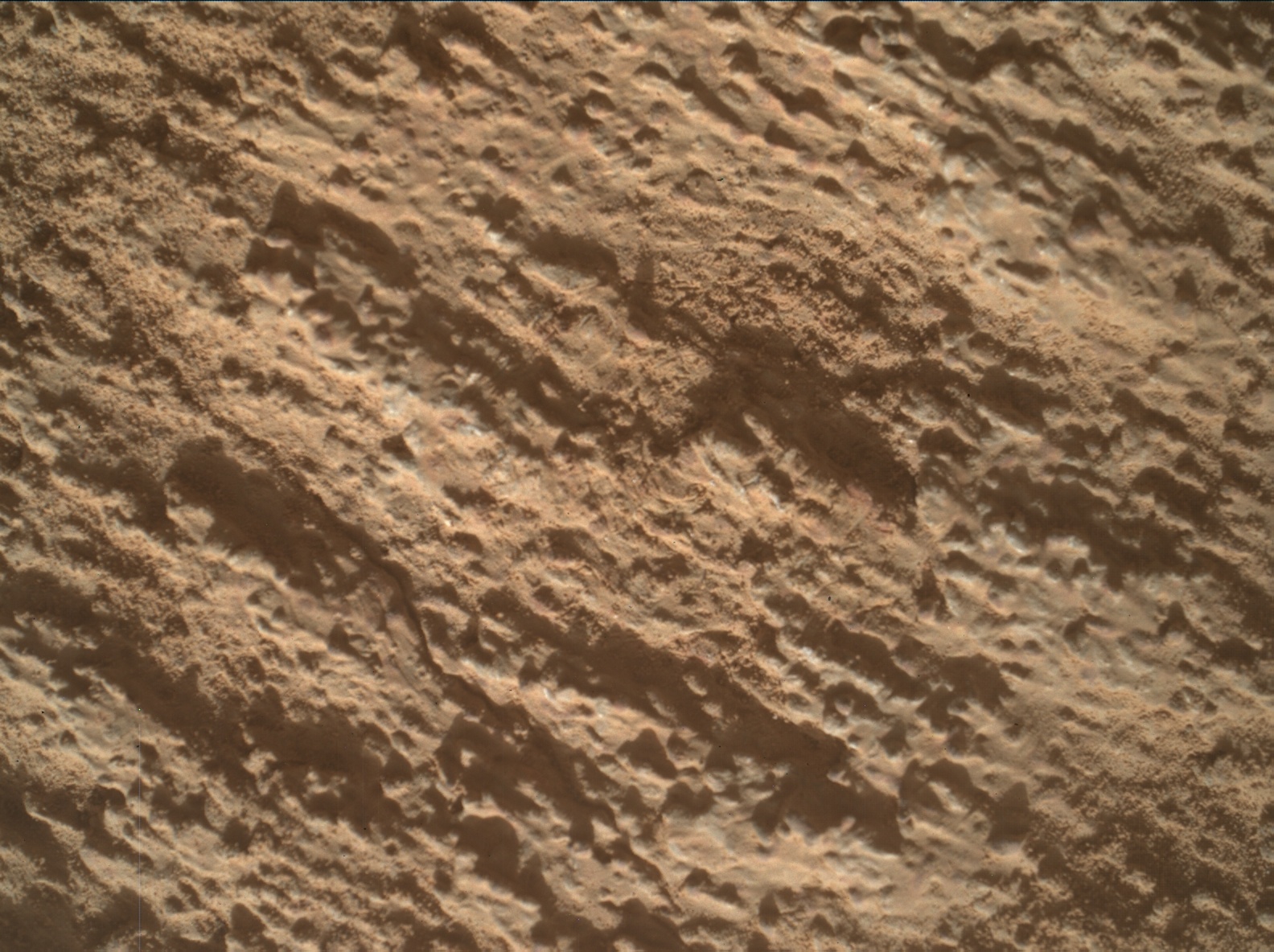 Nasa's Mars rover Curiosity acquired this image using its Mars Hand Lens Imager (MAHLI) on Sol 3214