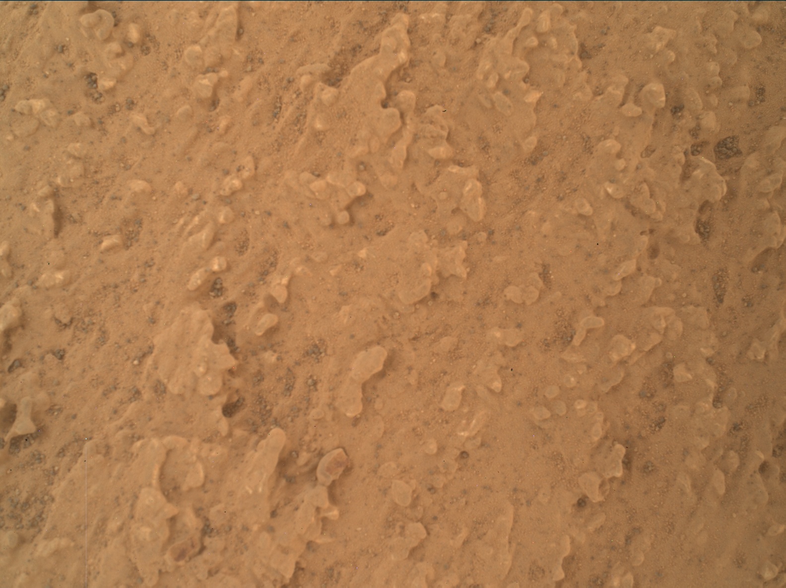 Nasa's Mars rover Curiosity acquired this image using its Mars Hand Lens Imager (MAHLI) on Sol 3217
