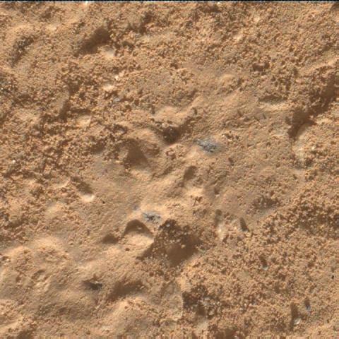 Nasa's Mars rover Curiosity acquired this image using its Mars Hand Lens Imager (MAHLI) on Sol 3221