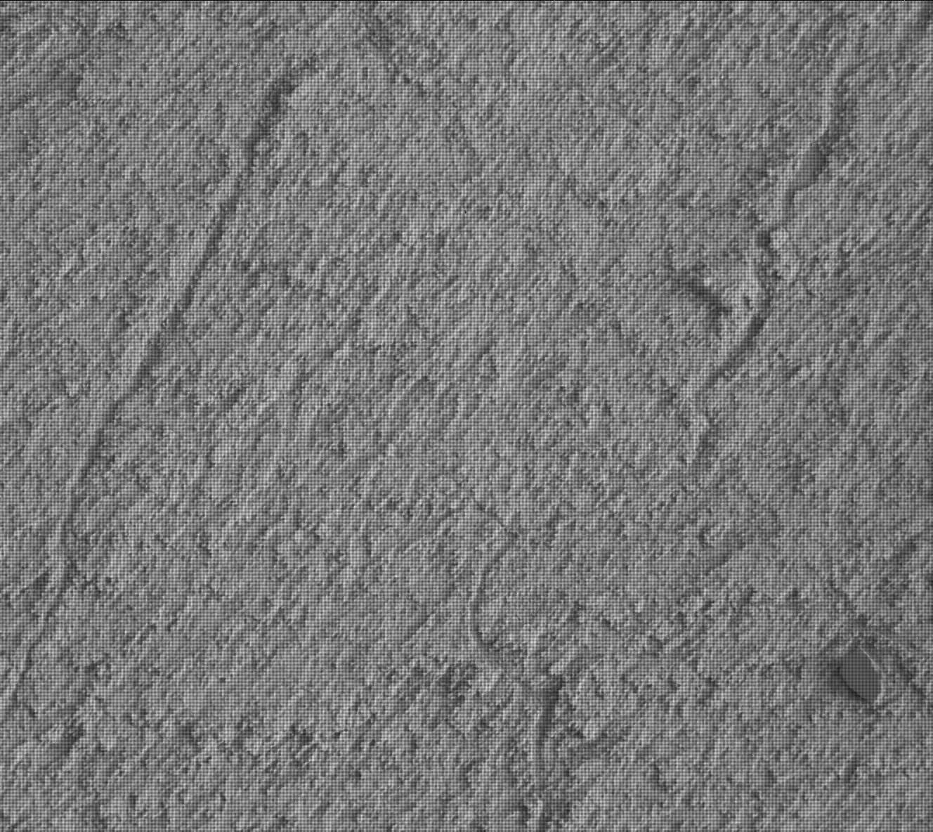 Nasa's Mars rover Curiosity acquired this image using its Mast Camera (Mastcam) on Sol 3244