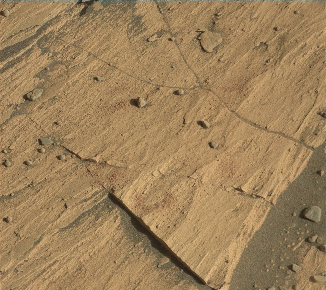 Nasa's Mars rover Curiosity acquired this image using its Mast Camera (Mastcam) on Sol 3301