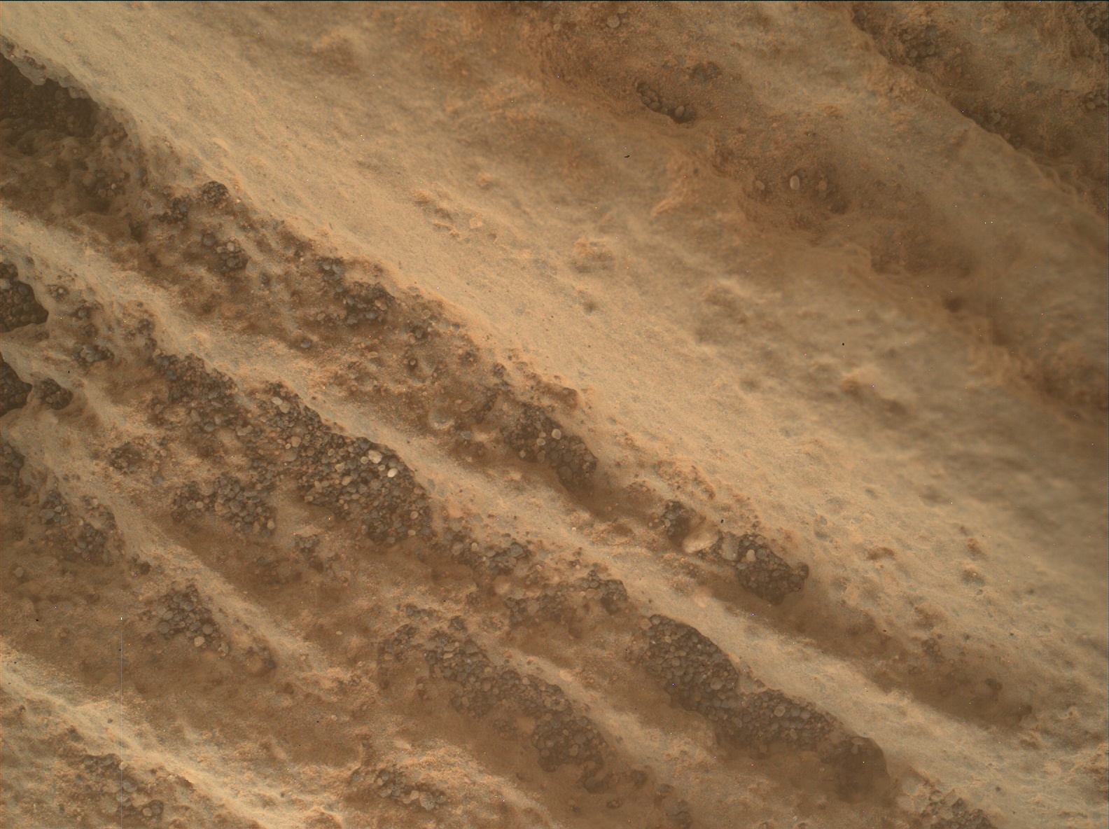 Nasa's Mars rover Curiosity acquired this image using its Mars Hand Lens Imager (MAHLI) on Sol 3313