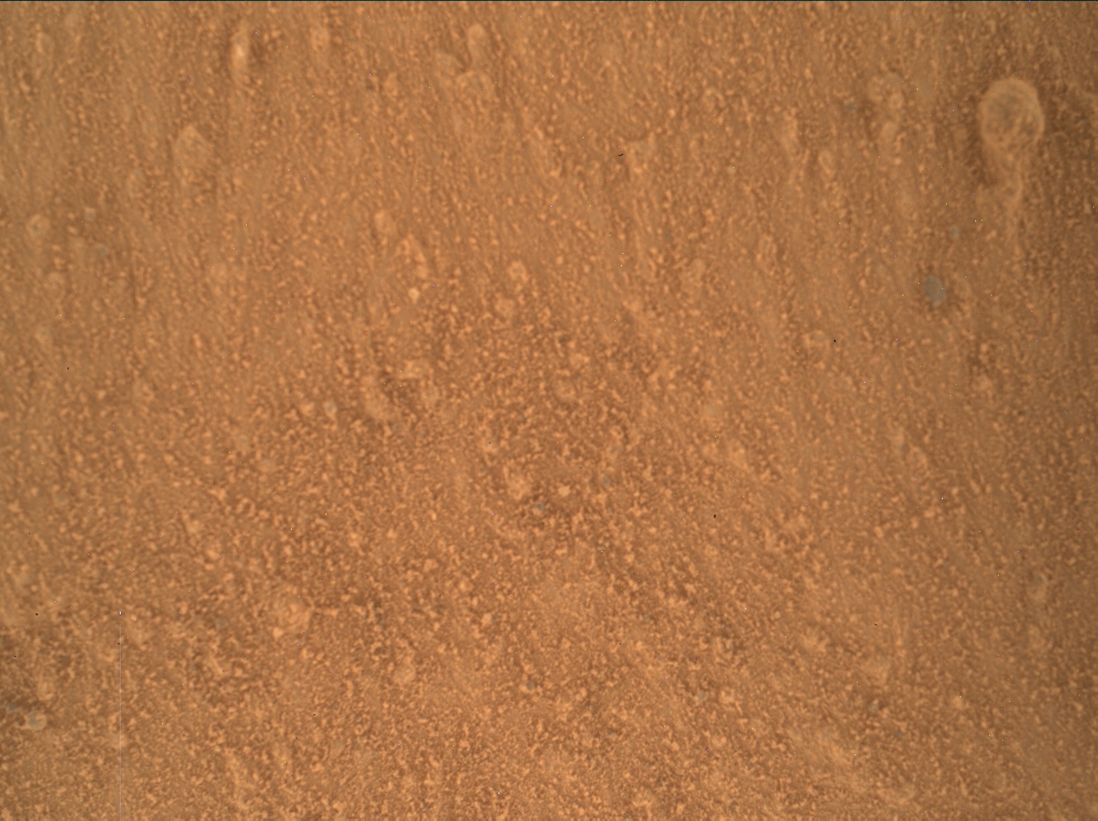 Nasa's Mars rover Curiosity acquired this image using its Mars Hand Lens Imager (MAHLI) on Sol 3319