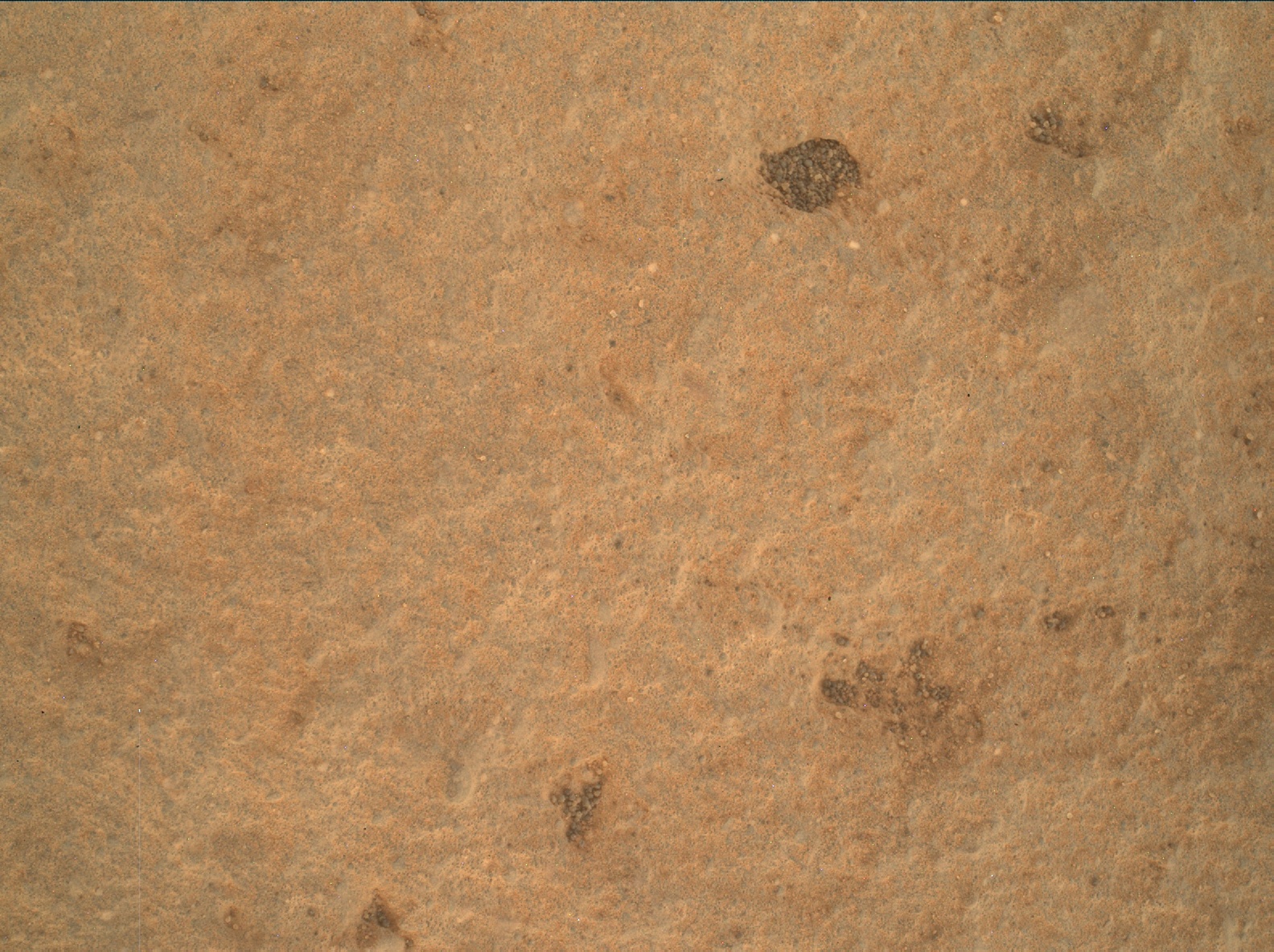 Nasa's Mars rover Curiosity acquired this image using its Mars Hand Lens Imager (MAHLI) on Sol 3323