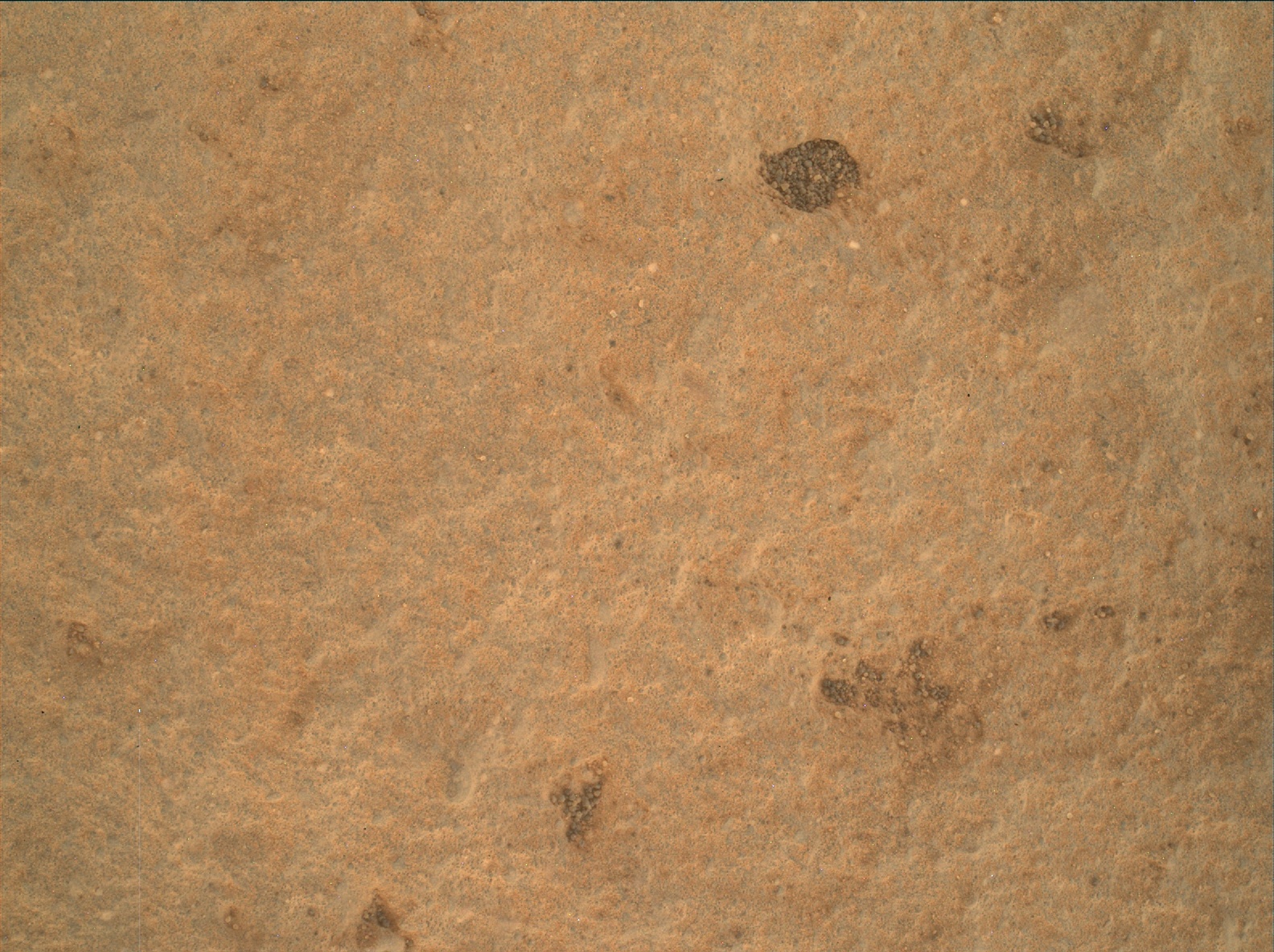 Nasa's Mars rover Curiosity acquired this image using its Mars Hand Lens Imager (MAHLI) on Sol 3324