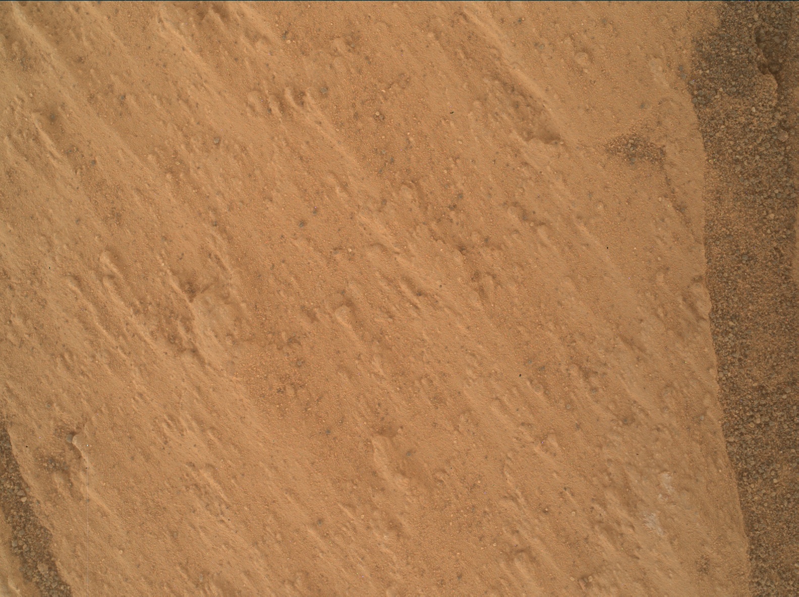 Nasa's Mars rover Curiosity acquired this image using its Mars Hand Lens Imager (MAHLI) on Sol 3328