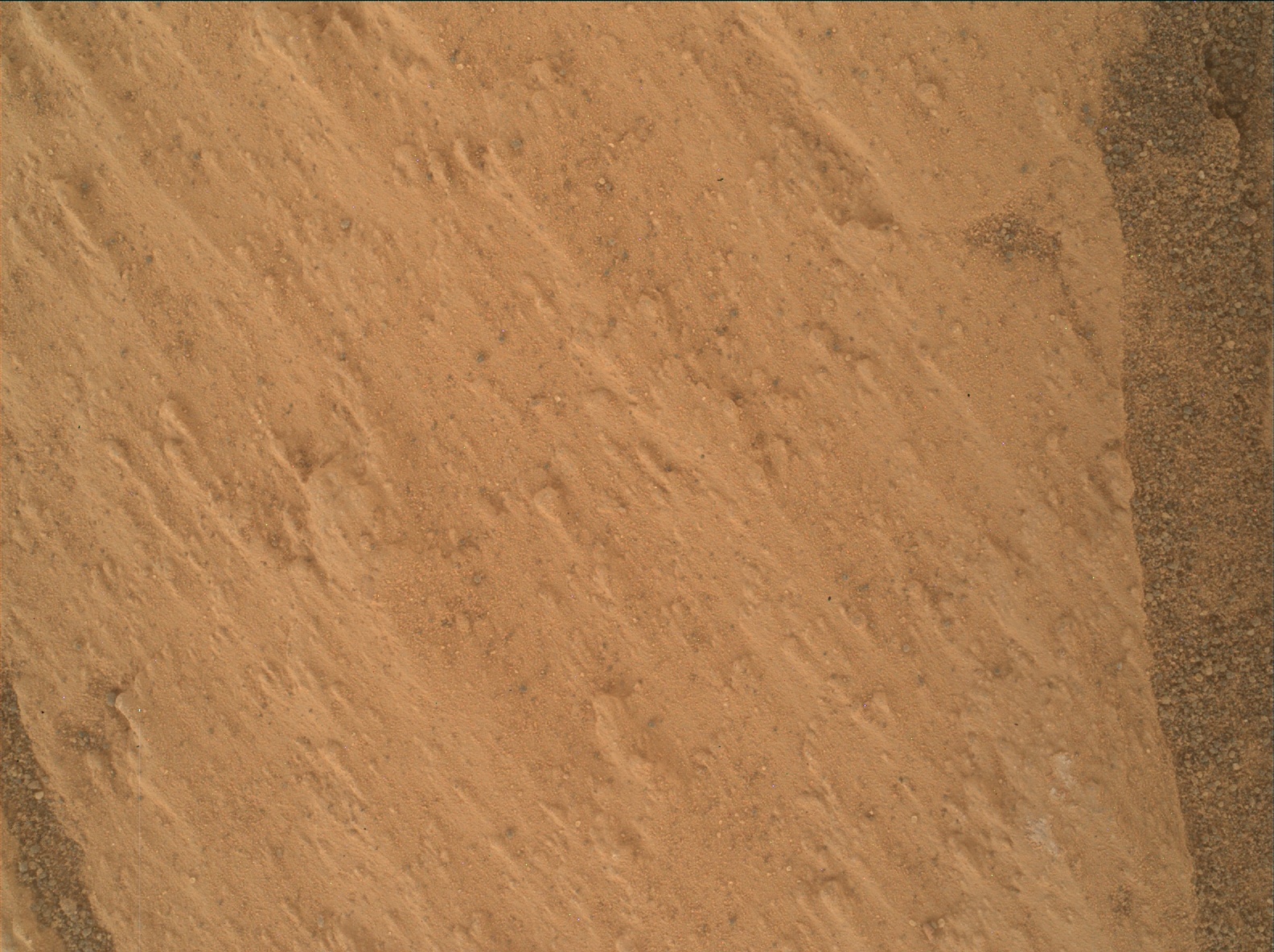 Nasa's Mars rover Curiosity acquired this image using its Mars Hand Lens Imager (MAHLI) on Sol 3329