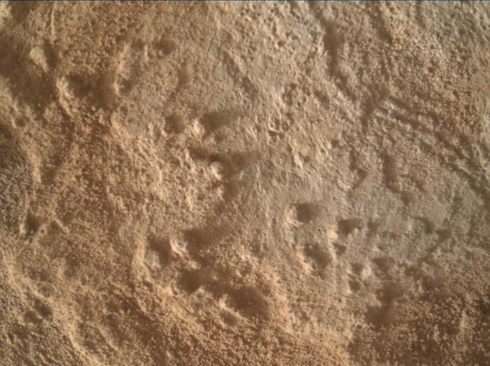 Nasa's Mars rover Curiosity acquired this image using its Mars Hand Lens Imager (MAHLI) on Sol 3344