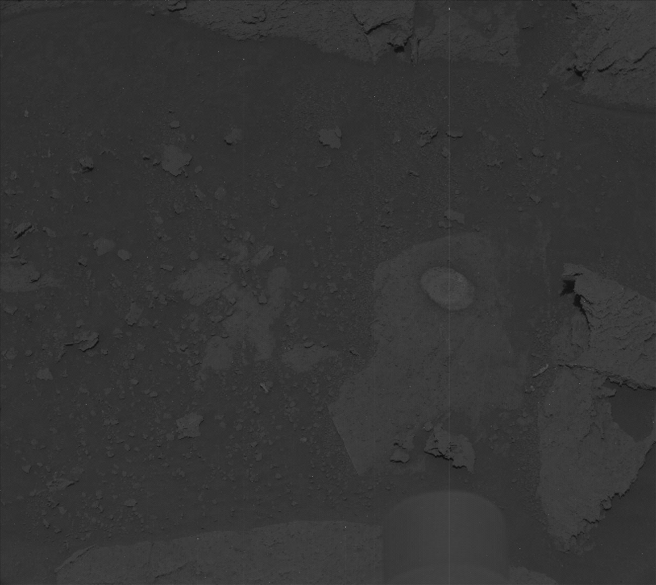 Nasa's Mars rover Curiosity acquired this image using its Mast Camera (Mastcam) on Sol 3359