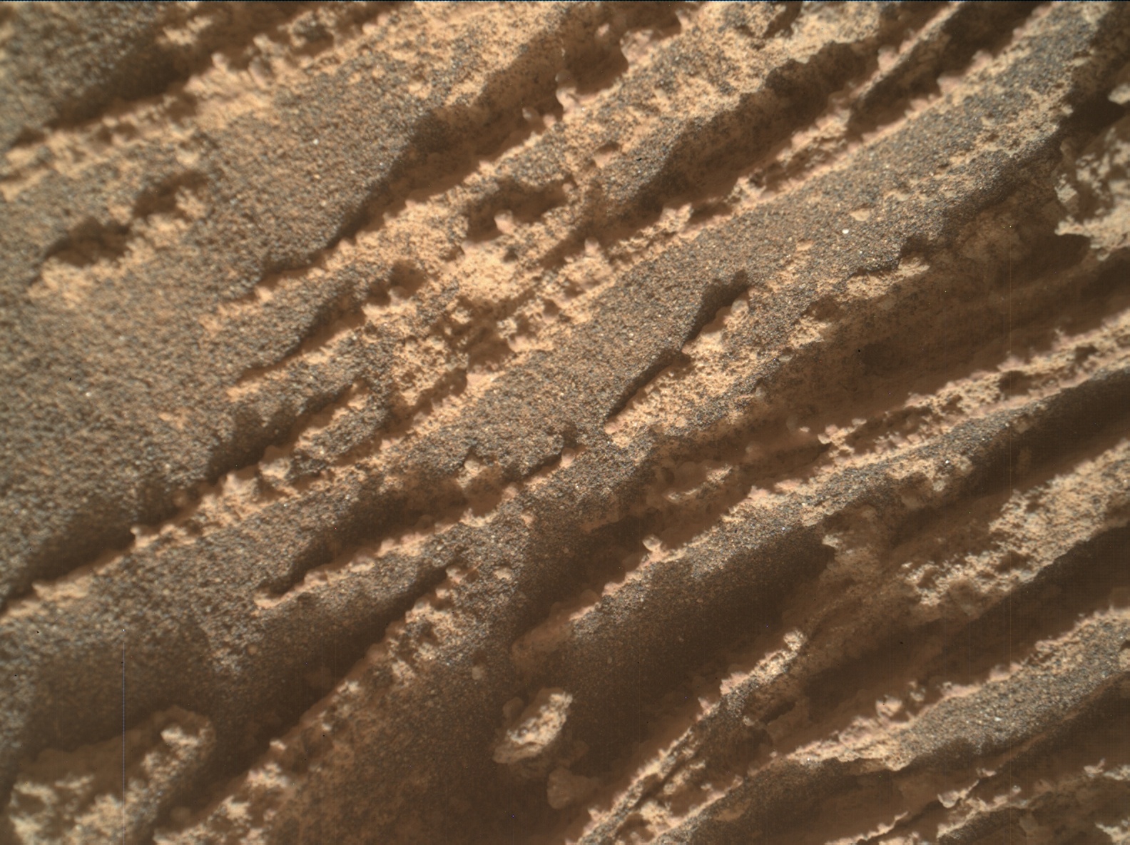 Nasa's Mars rover Curiosity acquired this image using its Mars Hand Lens Imager (MAHLI) on Sol 3362