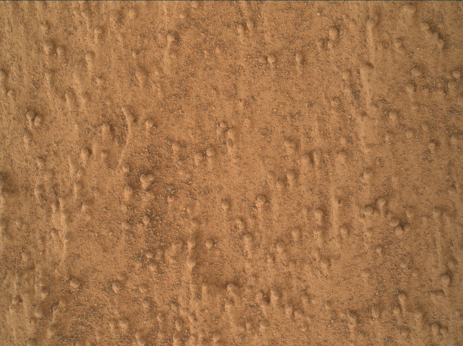 Nasa's Mars rover Curiosity acquired this image using its Mars Hand Lens Imager (MAHLI) on Sol 3364