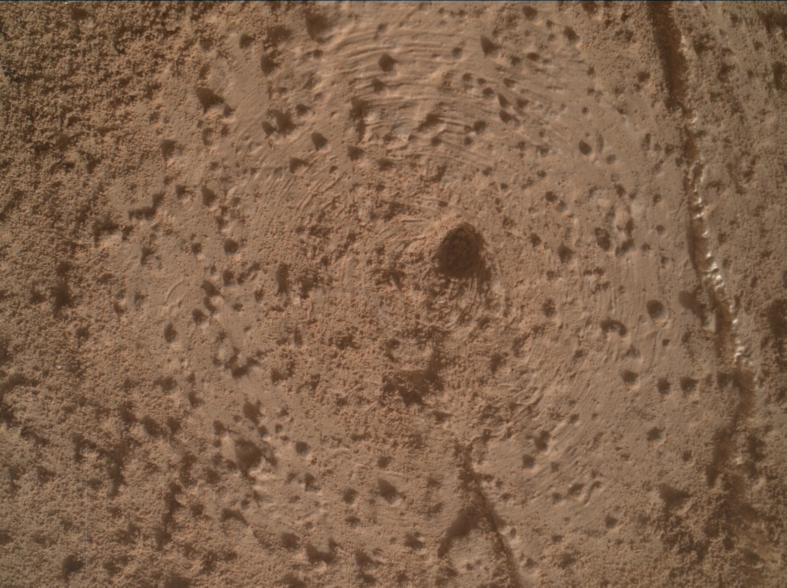 Nasa's Mars rover Curiosity acquired this image using its Mars Hand Lens Imager (MAHLI) on Sol 3387