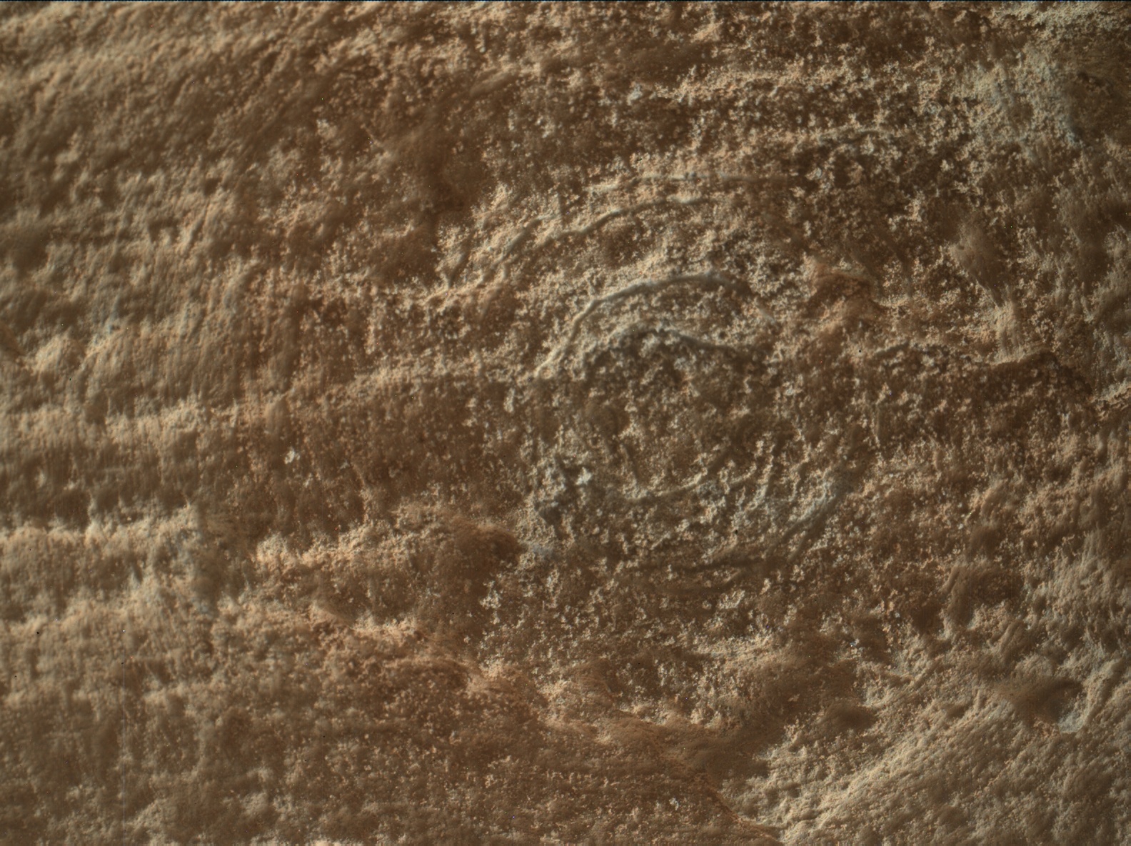 Nasa's Mars rover Curiosity acquired this image using its Mars Hand Lens Imager (MAHLI) on Sol 3395