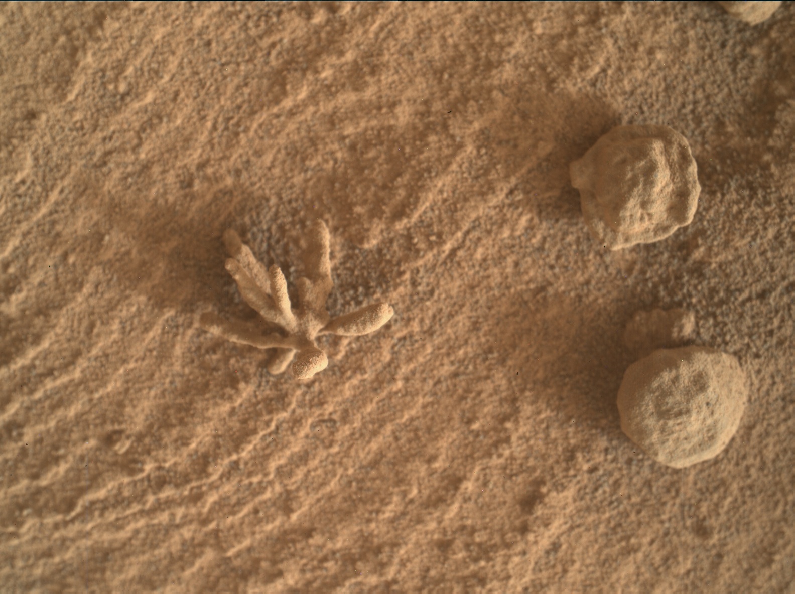 Nasa's Mars rover Curiosity acquired this image using its Mars Hand Lens Imager (MAHLI) on Sol 3396