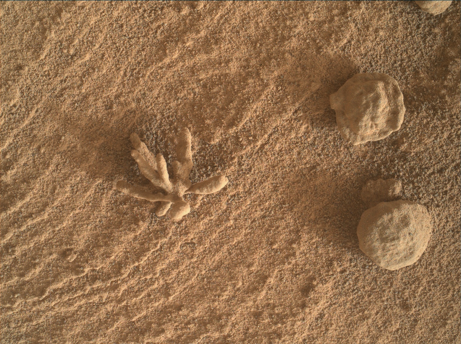 Nasa's Mars rover Curiosity acquired this image using its Mars Hand Lens Imager (MAHLI) on Sol 3397