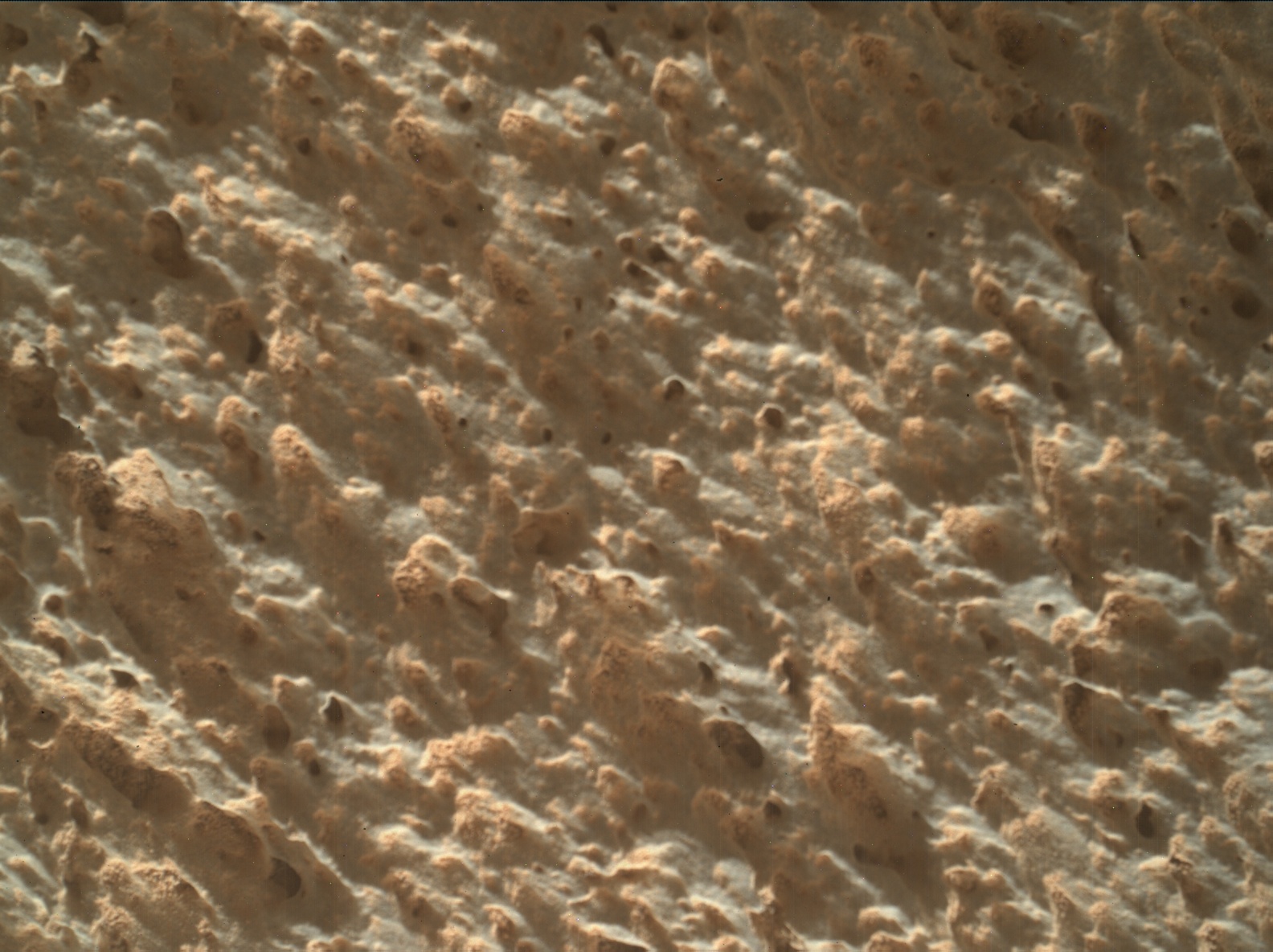 Nasa's Mars rover Curiosity acquired this image using its Mars Hand Lens Imager (MAHLI) on Sol 3425