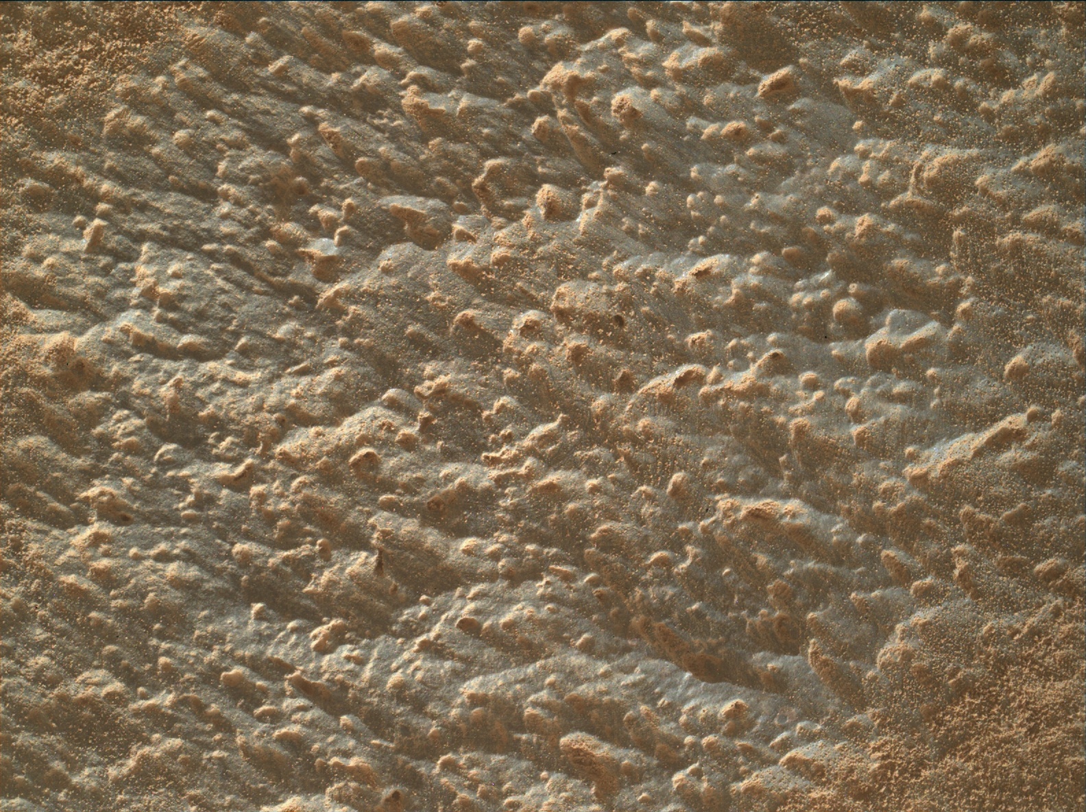 Nasa's Mars rover Curiosity acquired this image using its Mars Hand Lens Imager (MAHLI) on Sol 3427