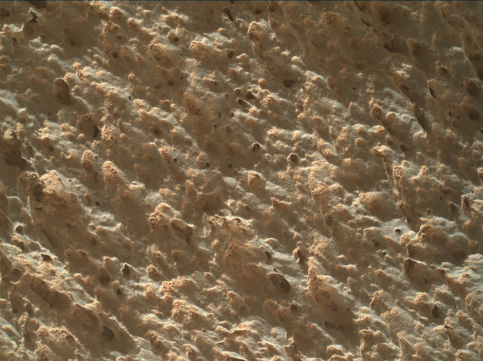 Nasa's Mars rover Curiosity acquired this image using its Mars Hand Lens Imager (MAHLI) on Sol 3427