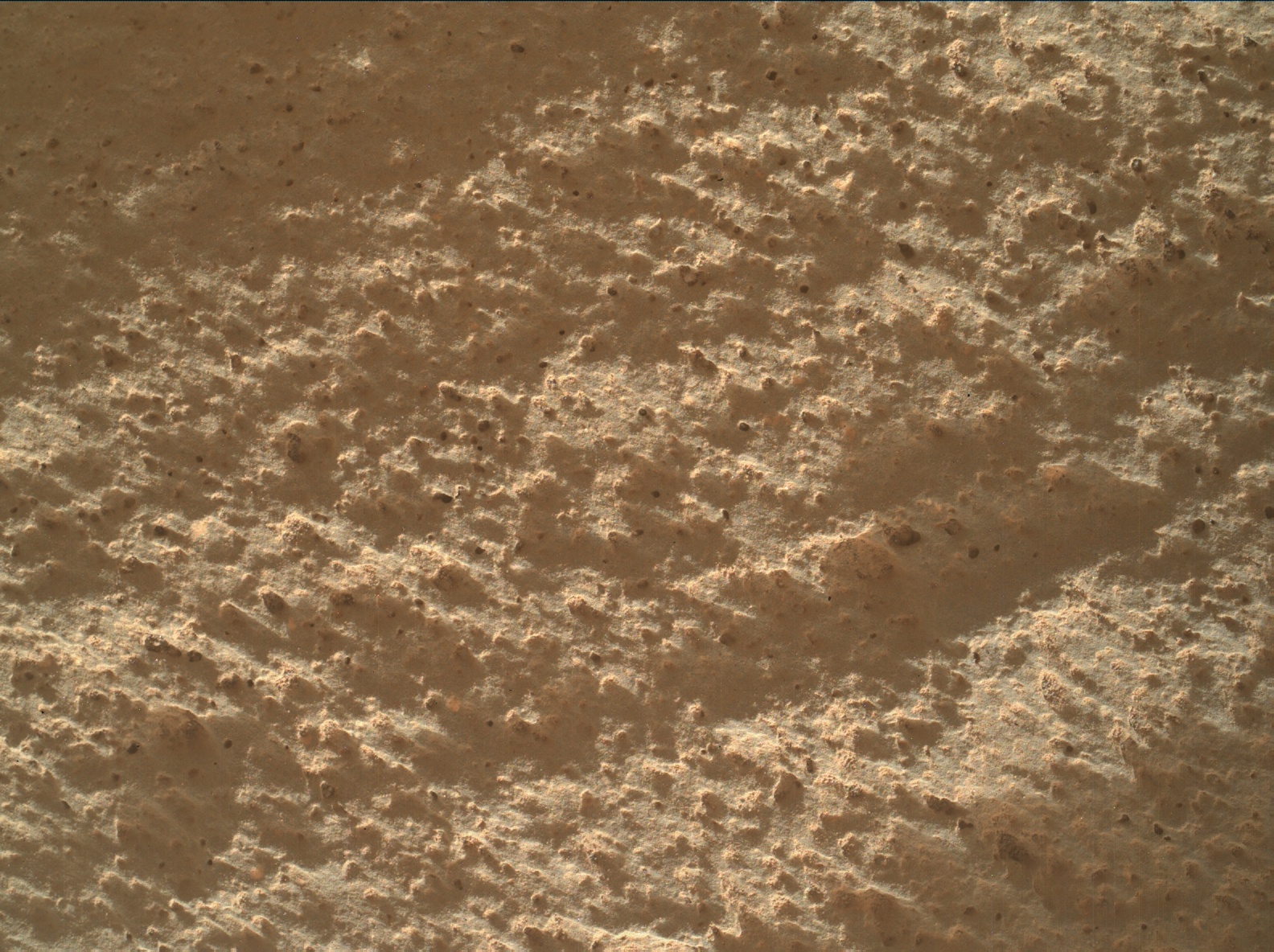 Nasa's Mars rover Curiosity acquired this image using its Mars Hand Lens Imager (MAHLI) on Sol 3428