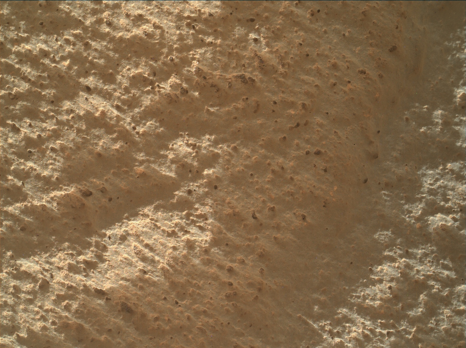 Nasa's Mars rover Curiosity acquired this image using its Mars Hand Lens Imager (MAHLI) on Sol 3429