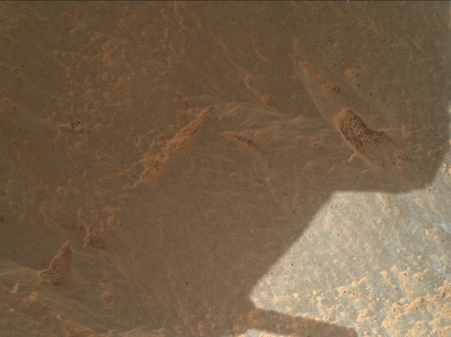 Nasa's Mars rover Curiosity acquired this image using its Mars Hand Lens Imager (MAHLI) on Sol 3436