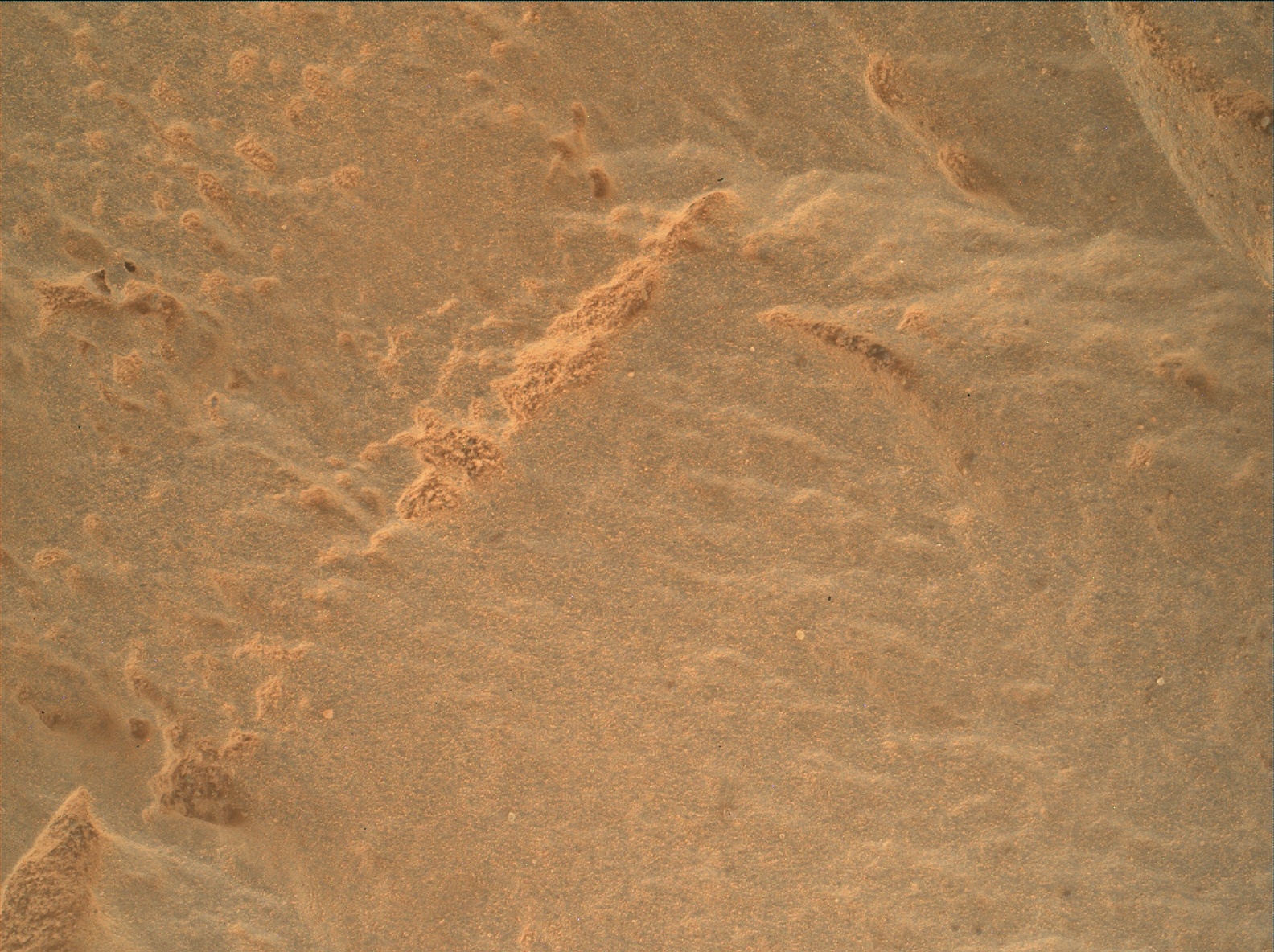 Nasa's Mars rover Curiosity acquired this image using its Mars Hand Lens Imager (MAHLI) on Sol 3436