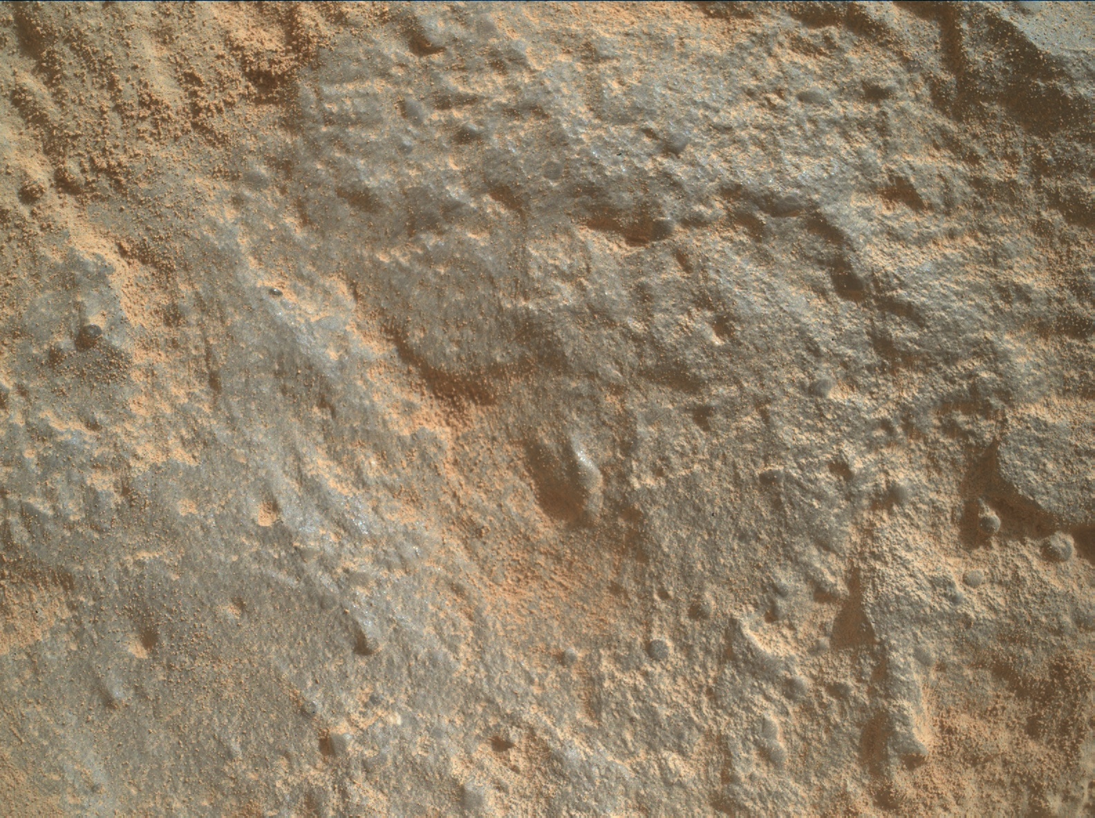 Nasa's Mars rover Curiosity acquired this image using its Mars Hand Lens Imager (MAHLI) on Sol 3442